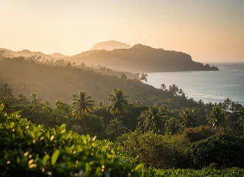 AZ2wPg42hU986Jc2fLxaYg-AZ2wPg42yfj36MI2zyIZGg